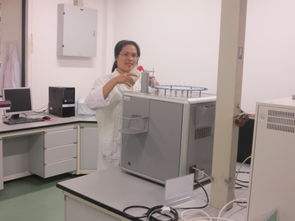 人員隊伍 公共技術服務中心