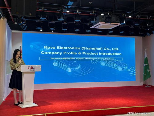 中巴經(jīng)濟(jì)走廊十周年 新能源汽車技術(shù)服務(wù)合作論壇成功舉辦