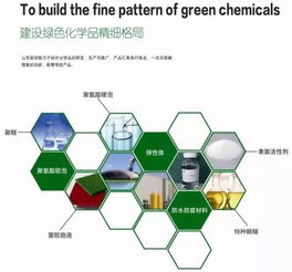 山東聯(lián)創(chuàng)新材料集團(tuán)